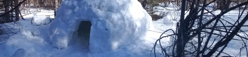Un igloo dans la neige des Alpes