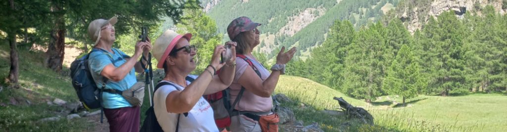 À la Médille sur le GR58 pour admirer le Mont-Viso 
