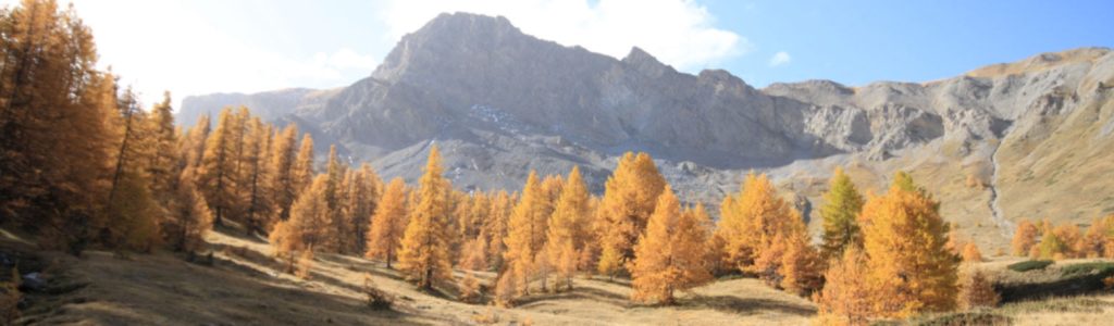 Couleurs d'automne en Queyras